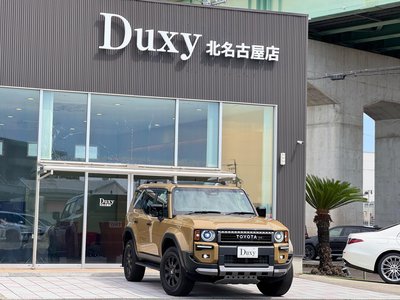 TOYOTA LAND CRUISER 250 - 10