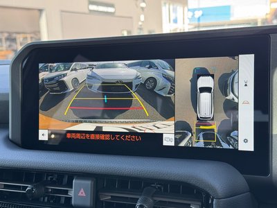 TOYOTA LAND CRUISER 250 - 9