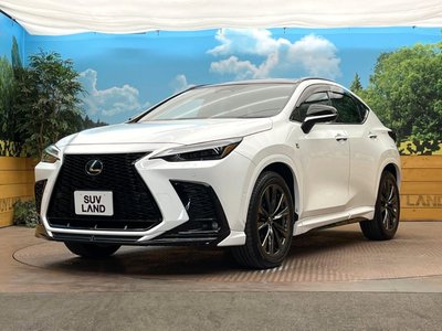 صورة مصغرة 31 لـ 2025 Lexus NX