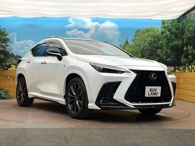 صورة مصغرة 16 لـ 2025 Lexus NX