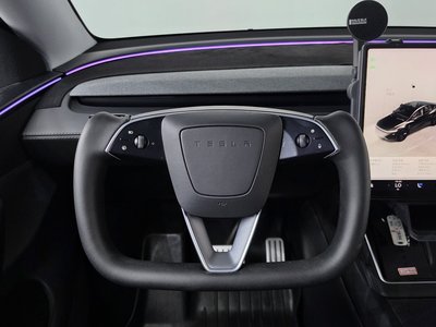 2025 Tesla MODEL Y thumbnail 19