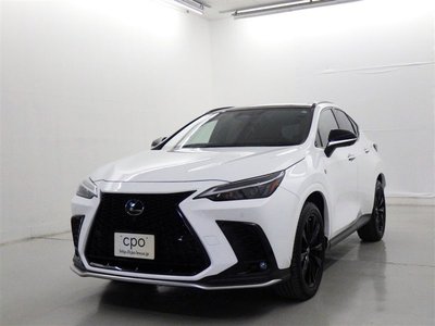 LEXUS NX - 1