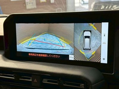 TOYOTA LAND CRUISER 250 - 4