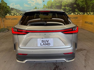 صورة مصغرة 15 لـ 2024 Lexus NX
