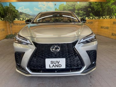 صورة مصغرة 14 لـ 2024 Lexus NX