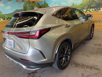 صورة مصغرة 17 لـ 2024 Lexus NX