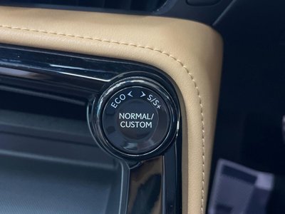 صورة مصغرة 43 لـ 2024 Lexus NX