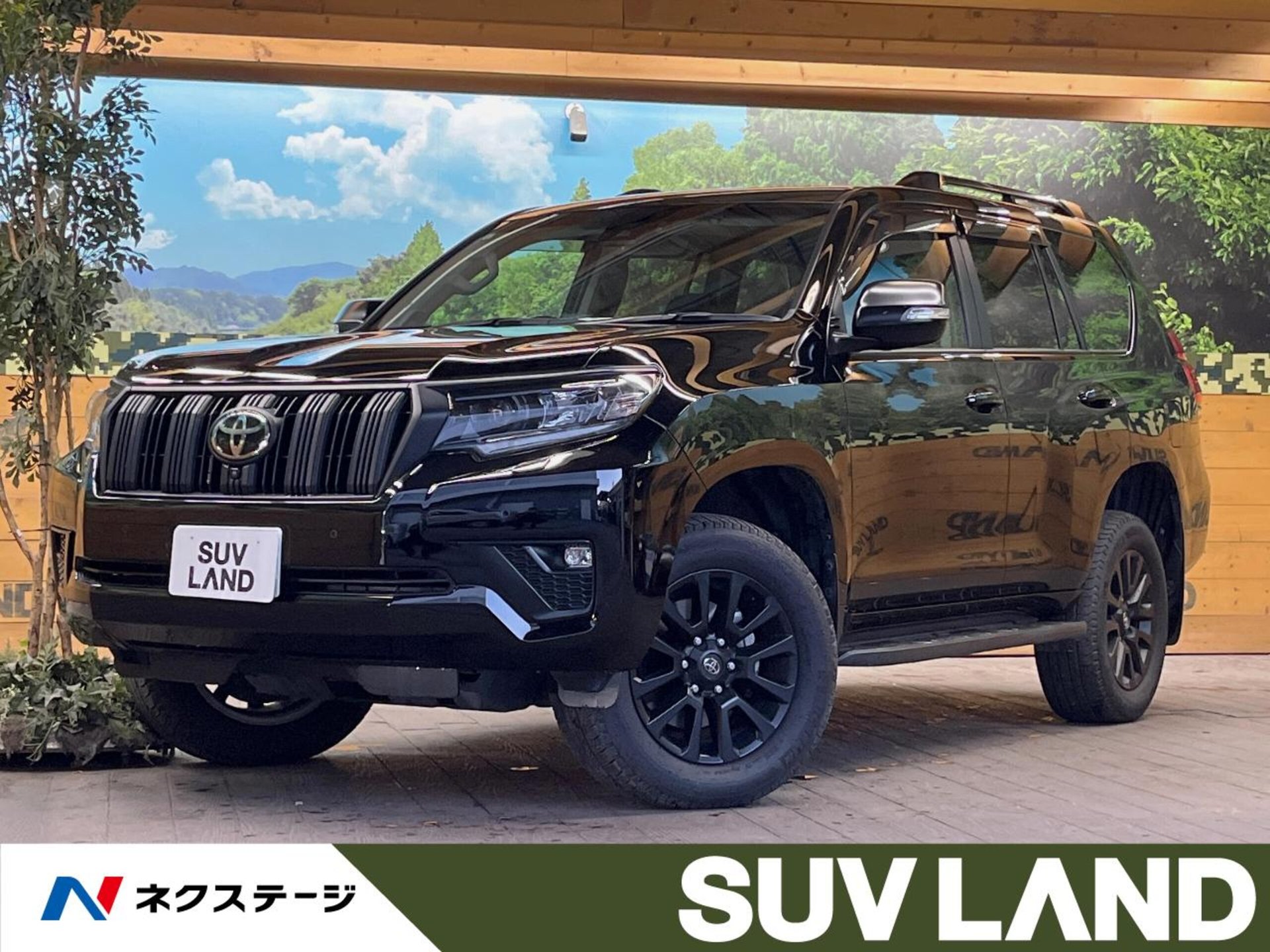 TOYOTA LAND CRUISER PRADO - View 1