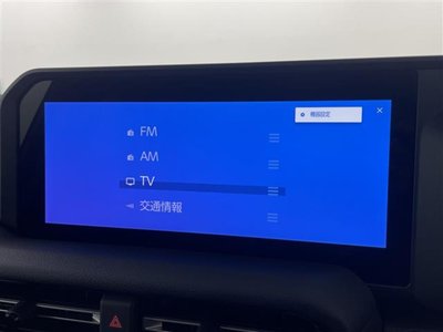 TOYOTA LAND CRUISER 250 - 6