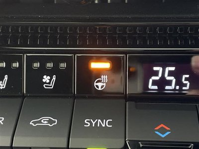 TOYOTA LAND CRUISER 250 - 9