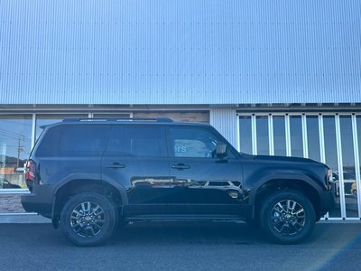 2025 Toyota LAND CRUISER 250 缩略图 11