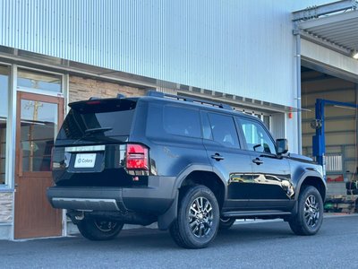 2025 Toyota LAND CRUISER 250 缩略图 12