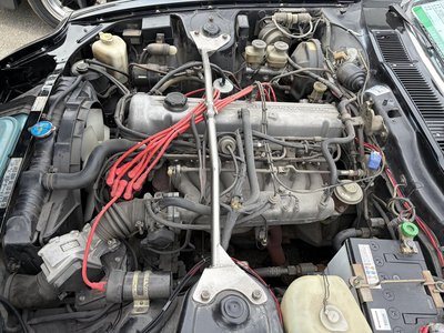 1980 Nissan FAIRLADY Z 照片 21