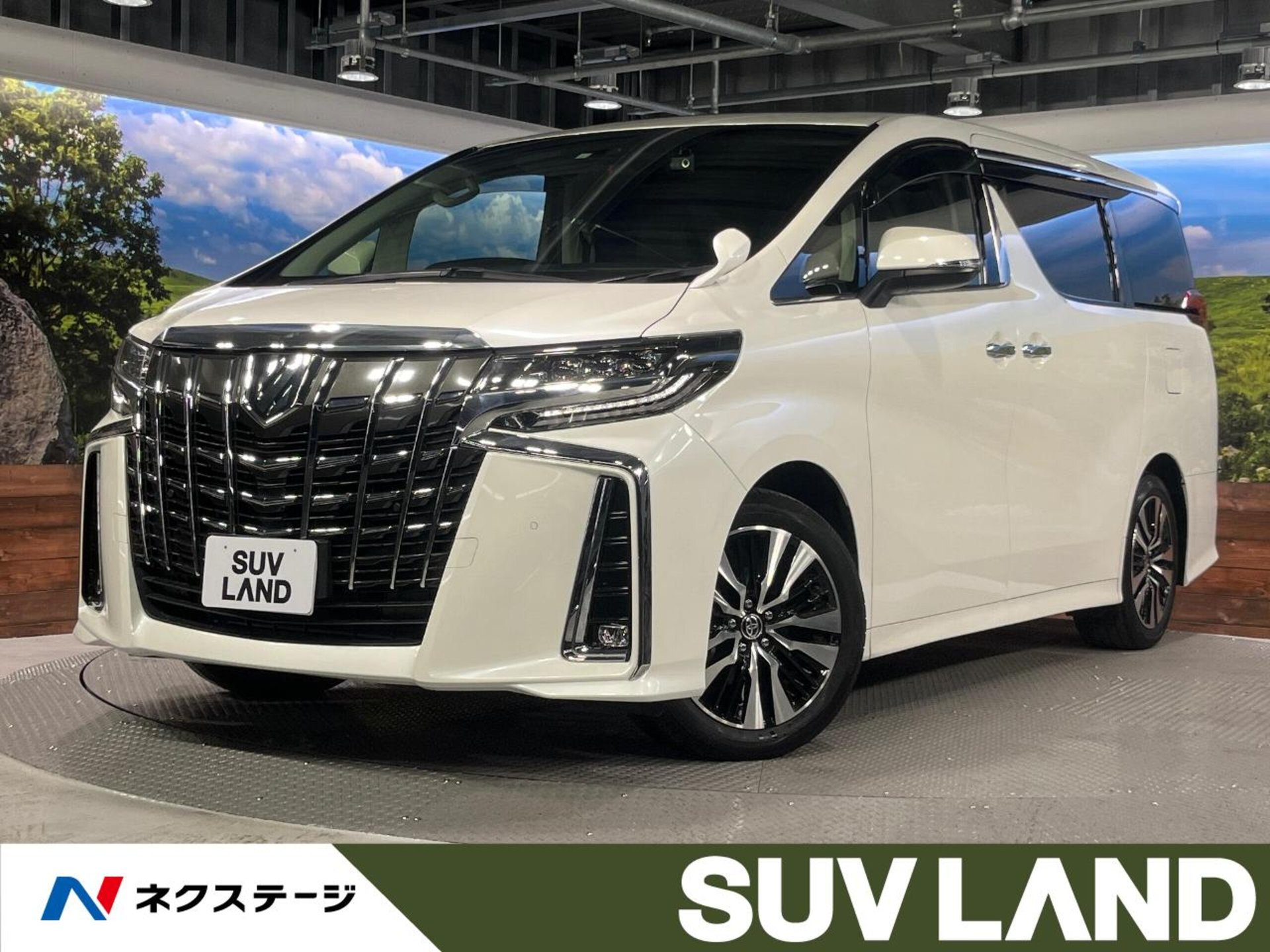TOYOTA ALPHARD - View 1