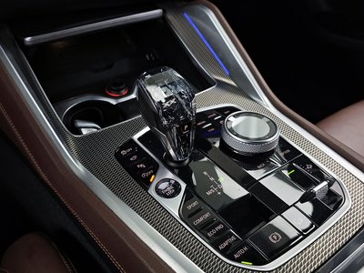 2021 BMW X6 — миниатюра 12