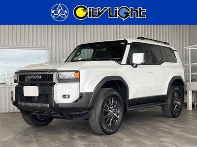 TOYOTA LAND CRUISER 250 - 1