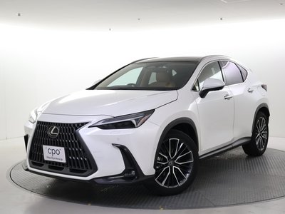 LEXUS NX - 1