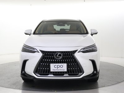 LEXUS NX - 8