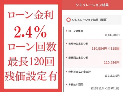 TOYOTA LAND CRUISER 300 - 3