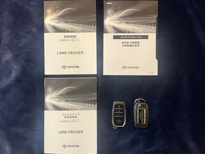 TOYOTA LAND CRUISER 300 - 4