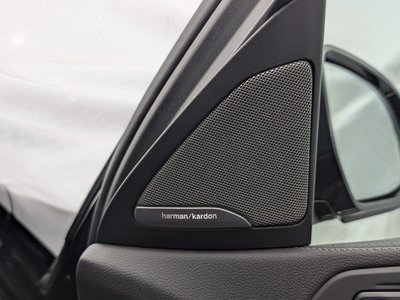 2021 BMW X6 缩略图 27