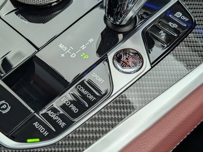 2021 BMW X6 缩略图 22