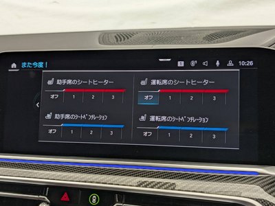 2021 BMW X6 缩略图 37