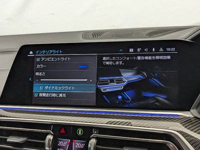 2021 BMW X6 缩略图 35