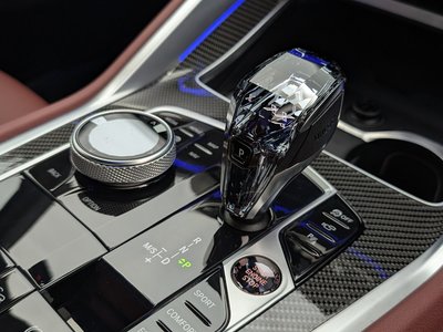 2021 BMW X6 缩略图 17