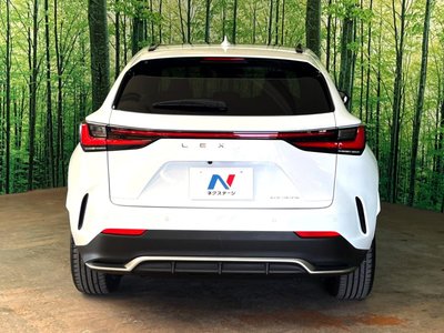 LEXUS NX - 10