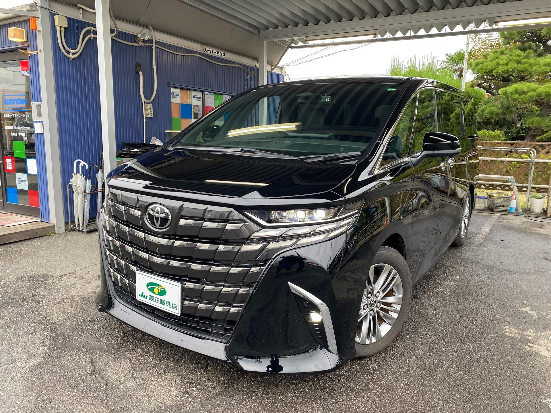 TOYOTA ALPHARD - View 1