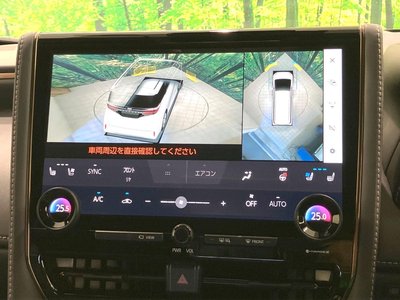 2024 Toyota ALPHARD 缩略图 38
