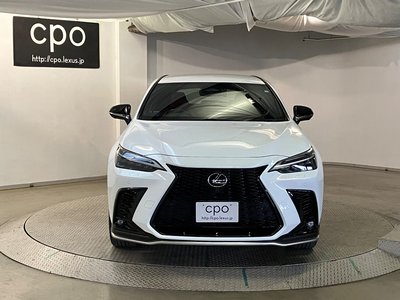 LEXUS NX - 6