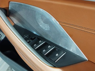 2020 BMW 8 SERIES CABRIOLET 缩略图 55