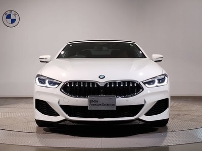 2020 BMW 8 SERIES CABRIOLET 缩略图 57