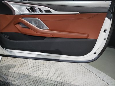 2020 BMW 8 SERIES CABRIOLET 缩略图 54