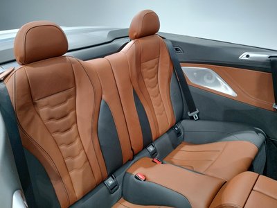 2020 BMW 8 SERIES CABRIOLET 缩略图 50
