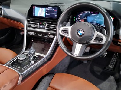 2020 BMW 8 SERIES CABRIOLET 缩略图 13