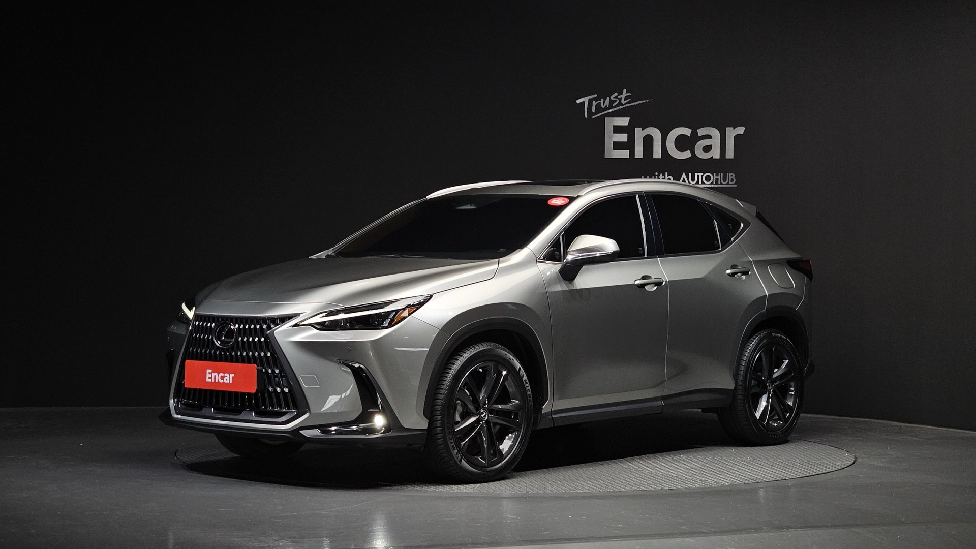 LEXUS NX - View 1