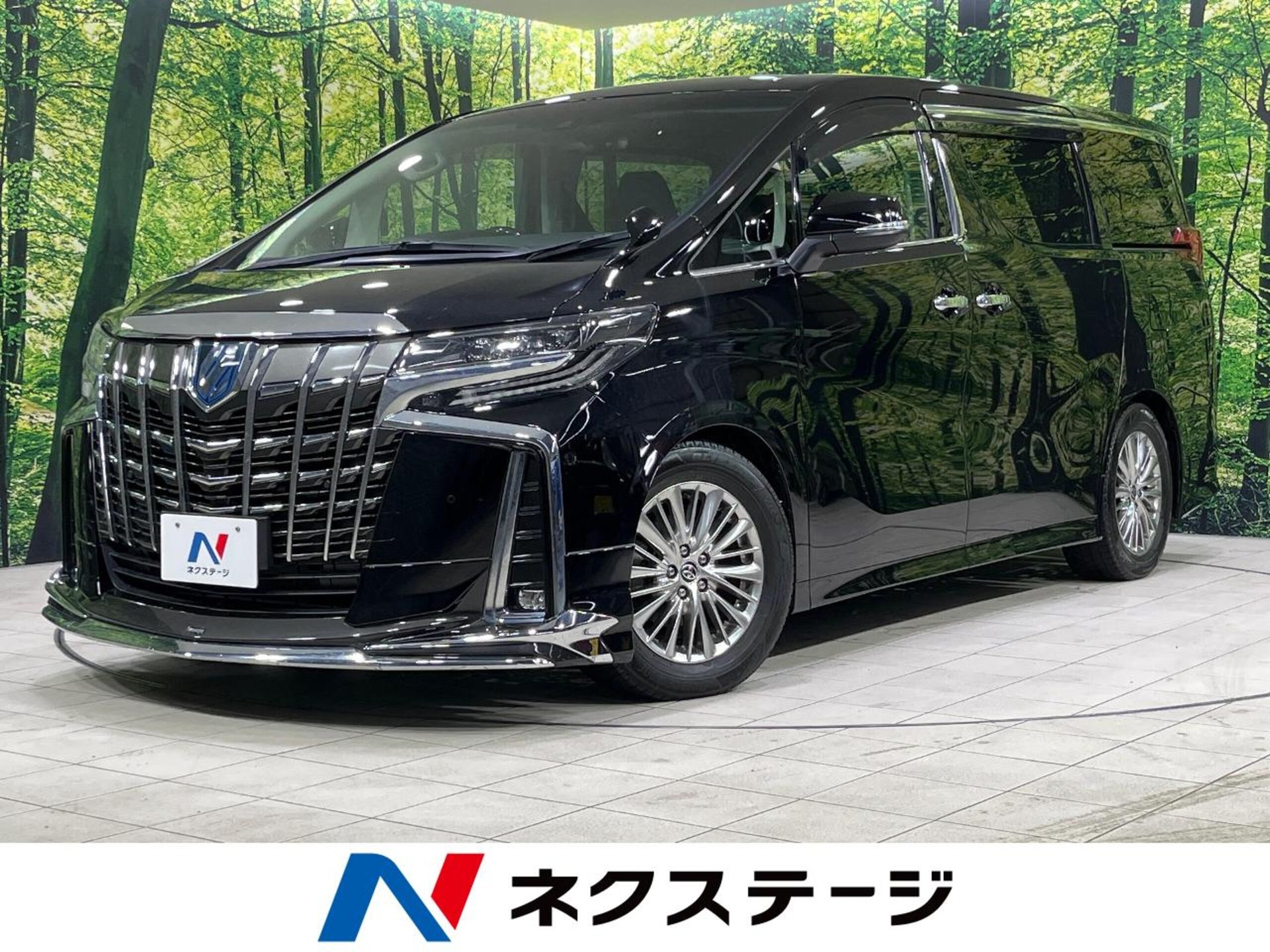 TOYOTA ALPHARD - View 1