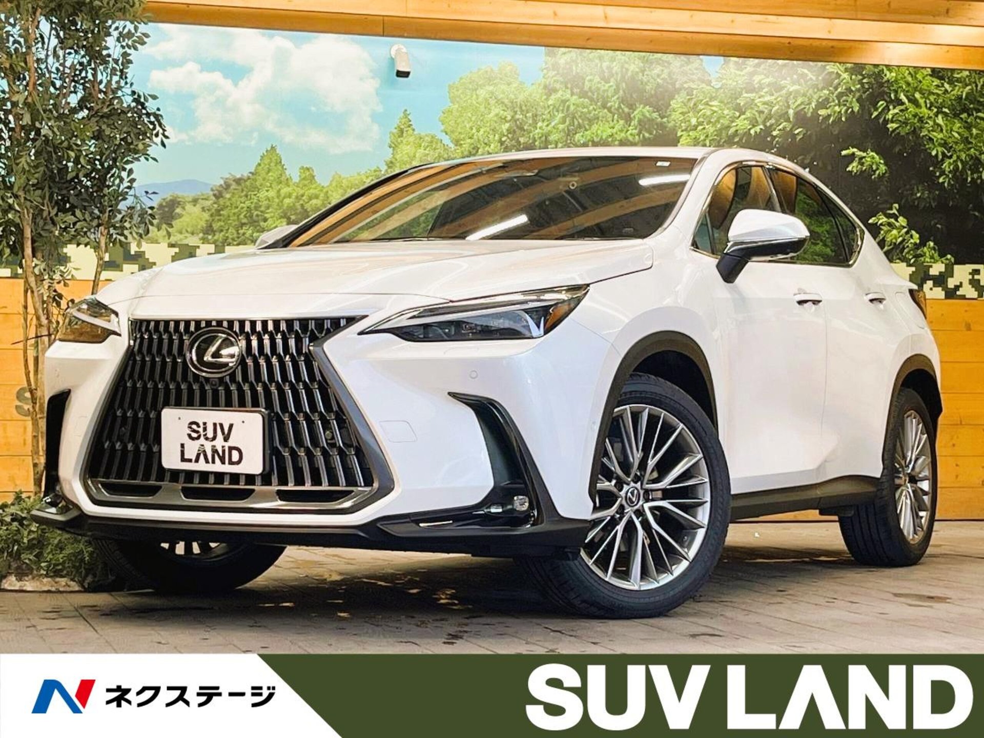 LEXUS NX - View 1