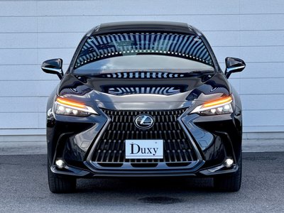 LEXUS NX - 5