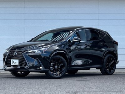 LEXUS NX - 10