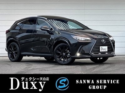 LEXUS NX - 1
