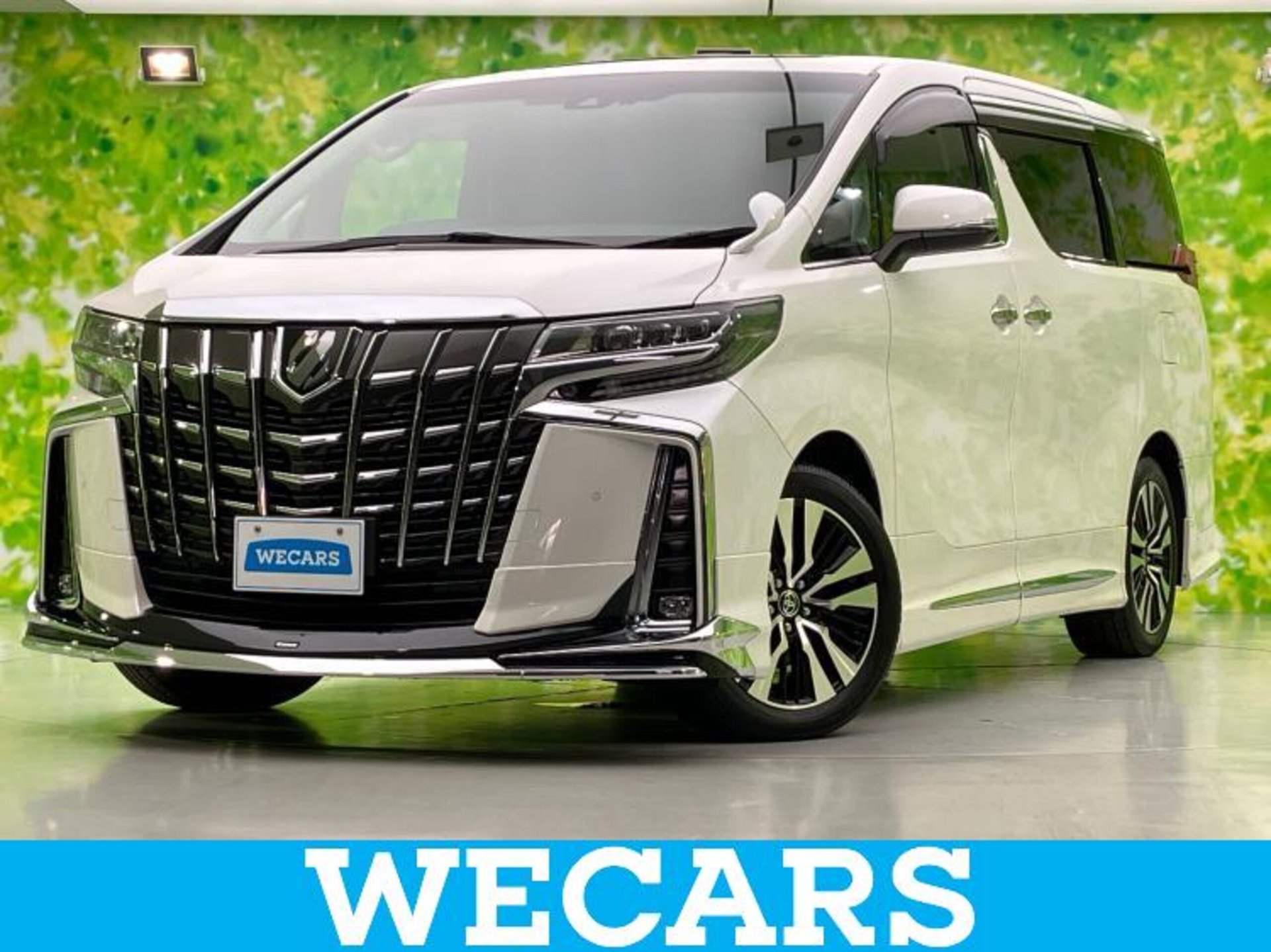 TOYOTA ALPHARD - View 1