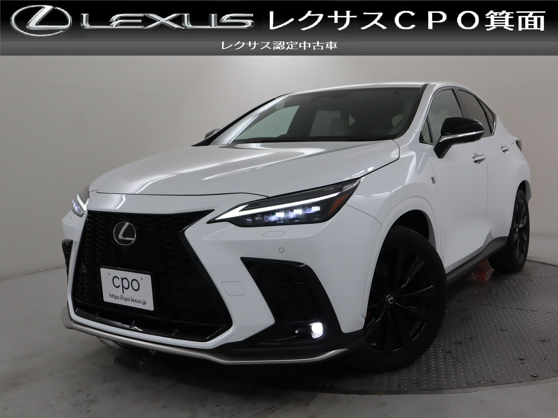 LEXUS NX - View 1