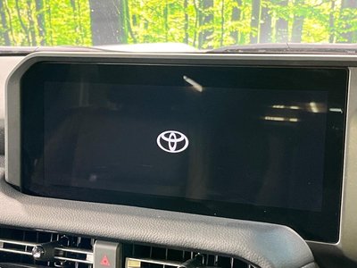 TOYOTA LAND CRUISER 250 - 4