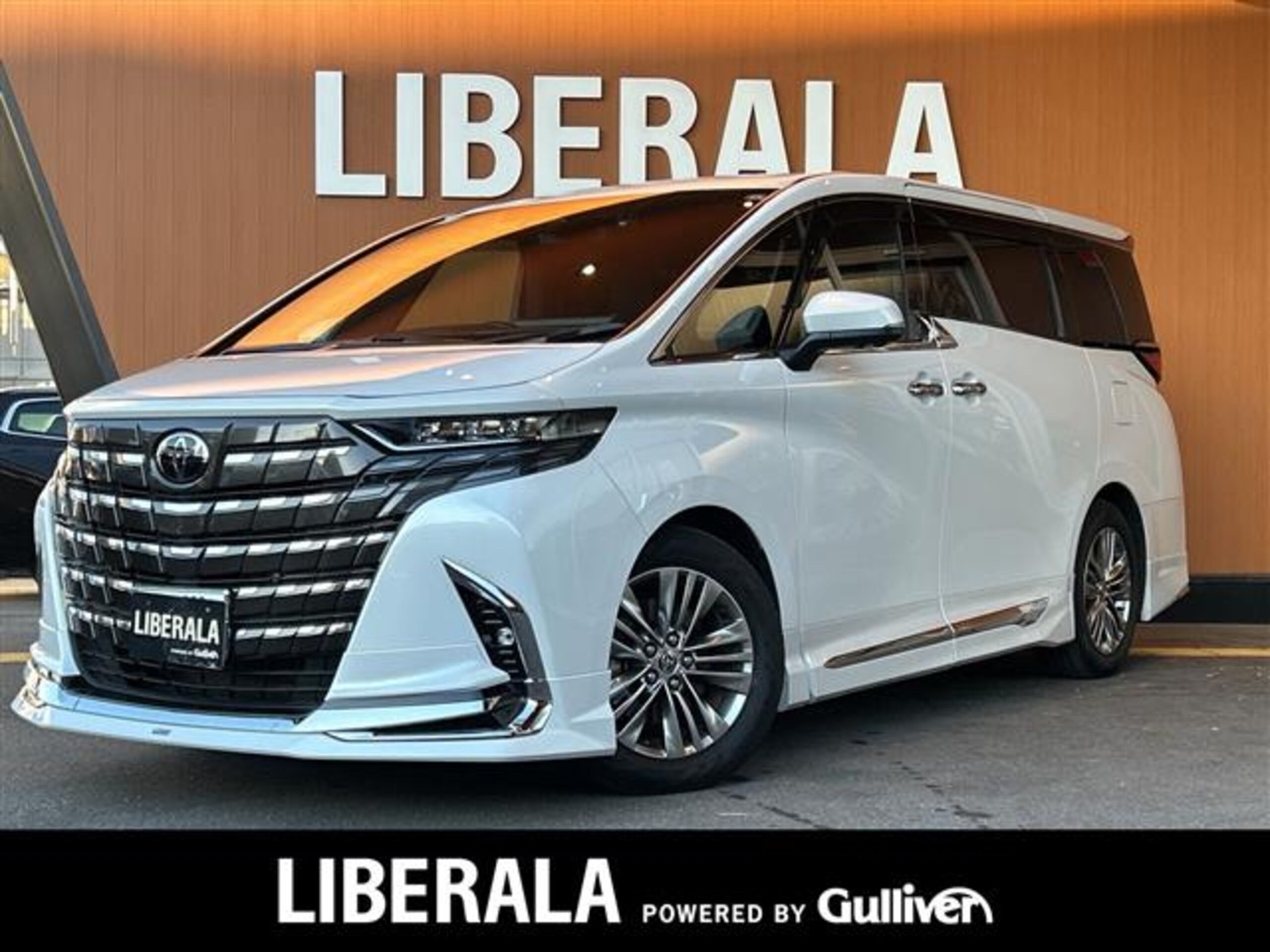 TOYOTA ALPHARD - View 1