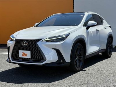 LEXUS NX - 10