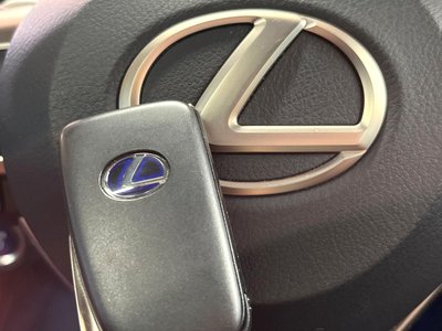 صورة مصغرة 42 لـ 2022 Lexus RX